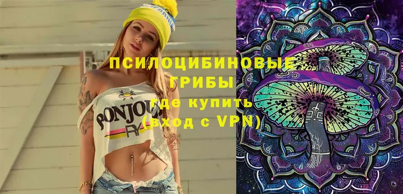 блэк спрут как зайти  хочу   Весьегонск  Галлюциногенные грибы Cubensis 